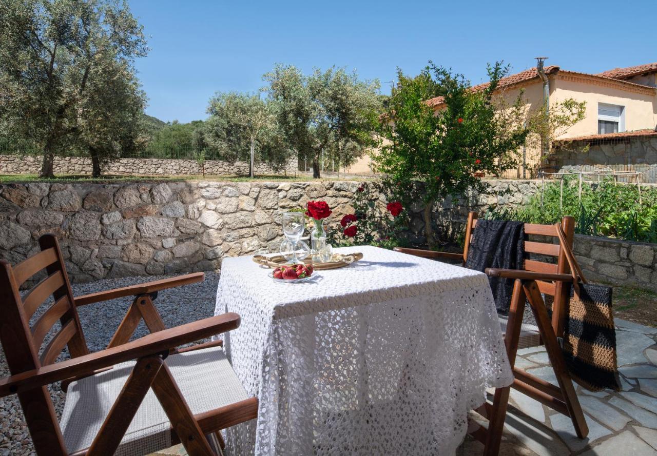 Villa Tsitreli Sykia Chalkidikis Esterno foto