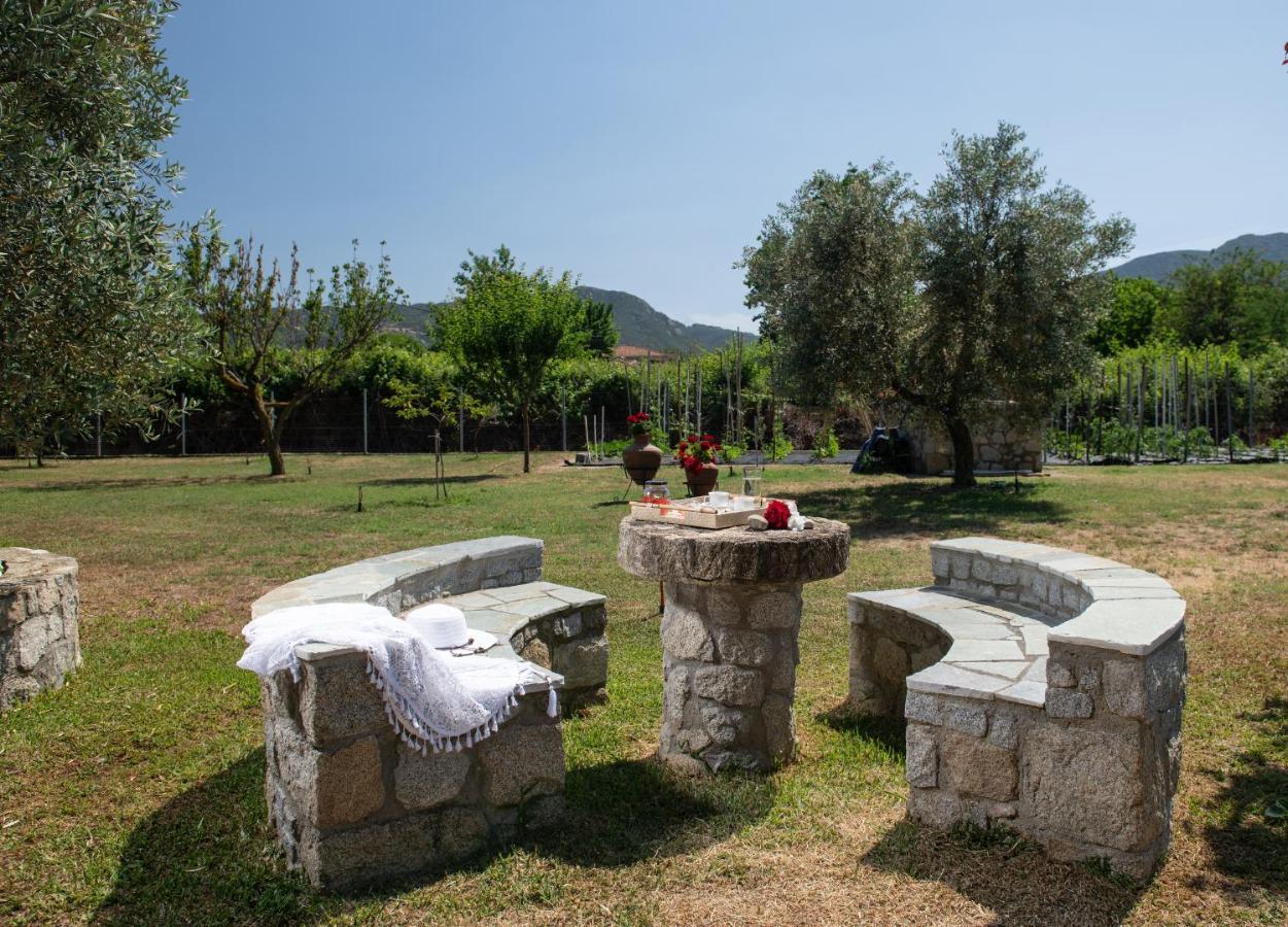 Villa Tsitreli Sykia Chalkidikis Esterno foto