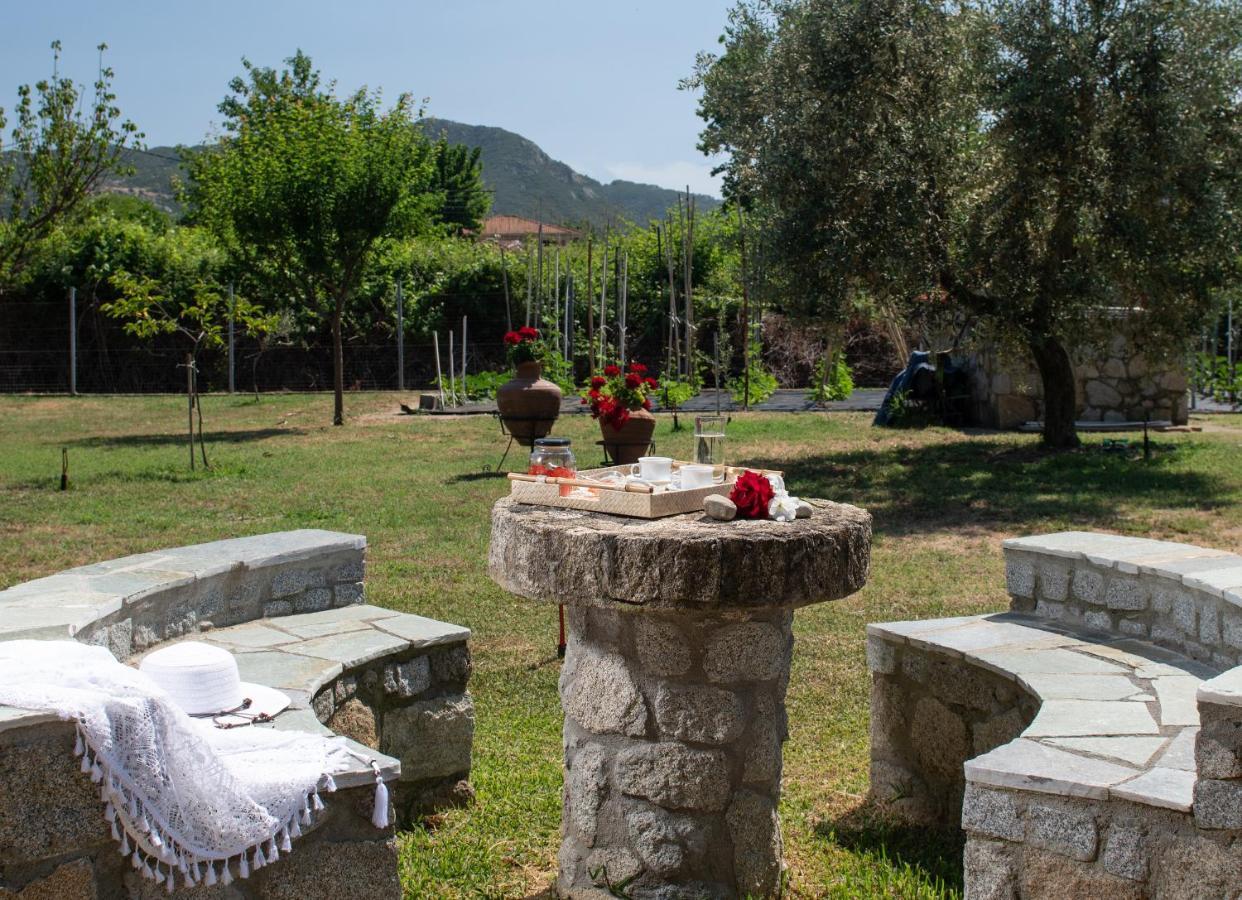 Villa Tsitreli Sykia Chalkidikis Esterno foto