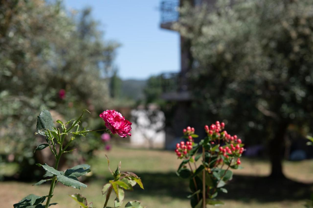 Villa Tsitreli Sykia Chalkidikis Esterno foto